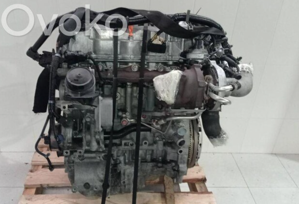 Honda Accord Motor